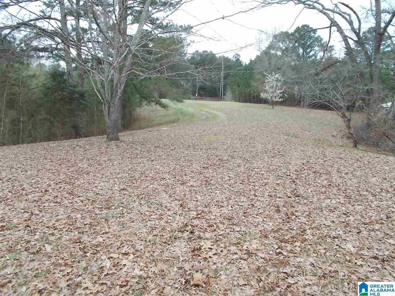 3108 Hull Road Empire, AL 35063 - Photo 44 of 44