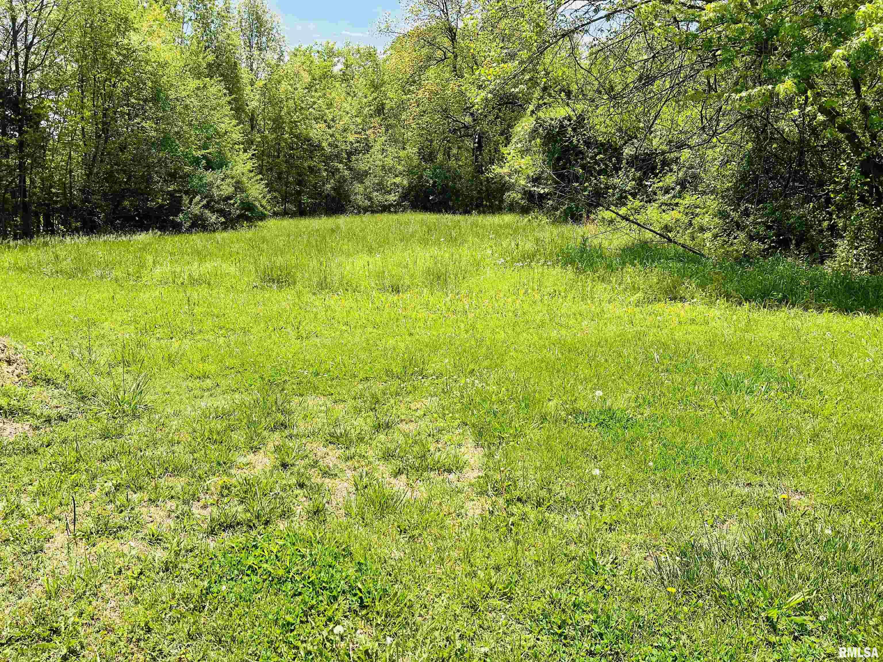 0 Feazel Road Harrisburg, IL 62946 - Photo 2 of 9