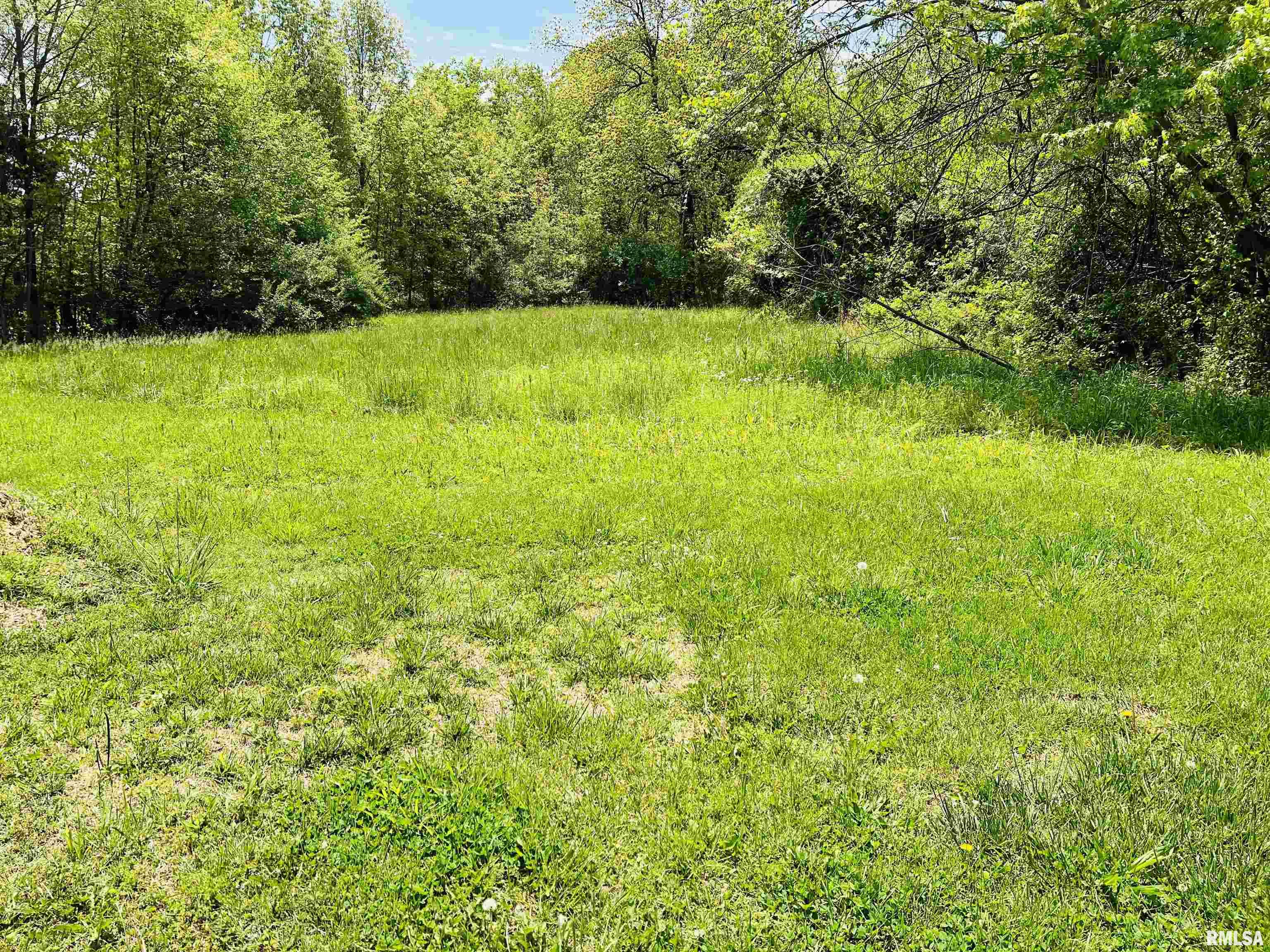 0 Feazel Road Harrisburg, IL 62946 - Photo 5 of 9