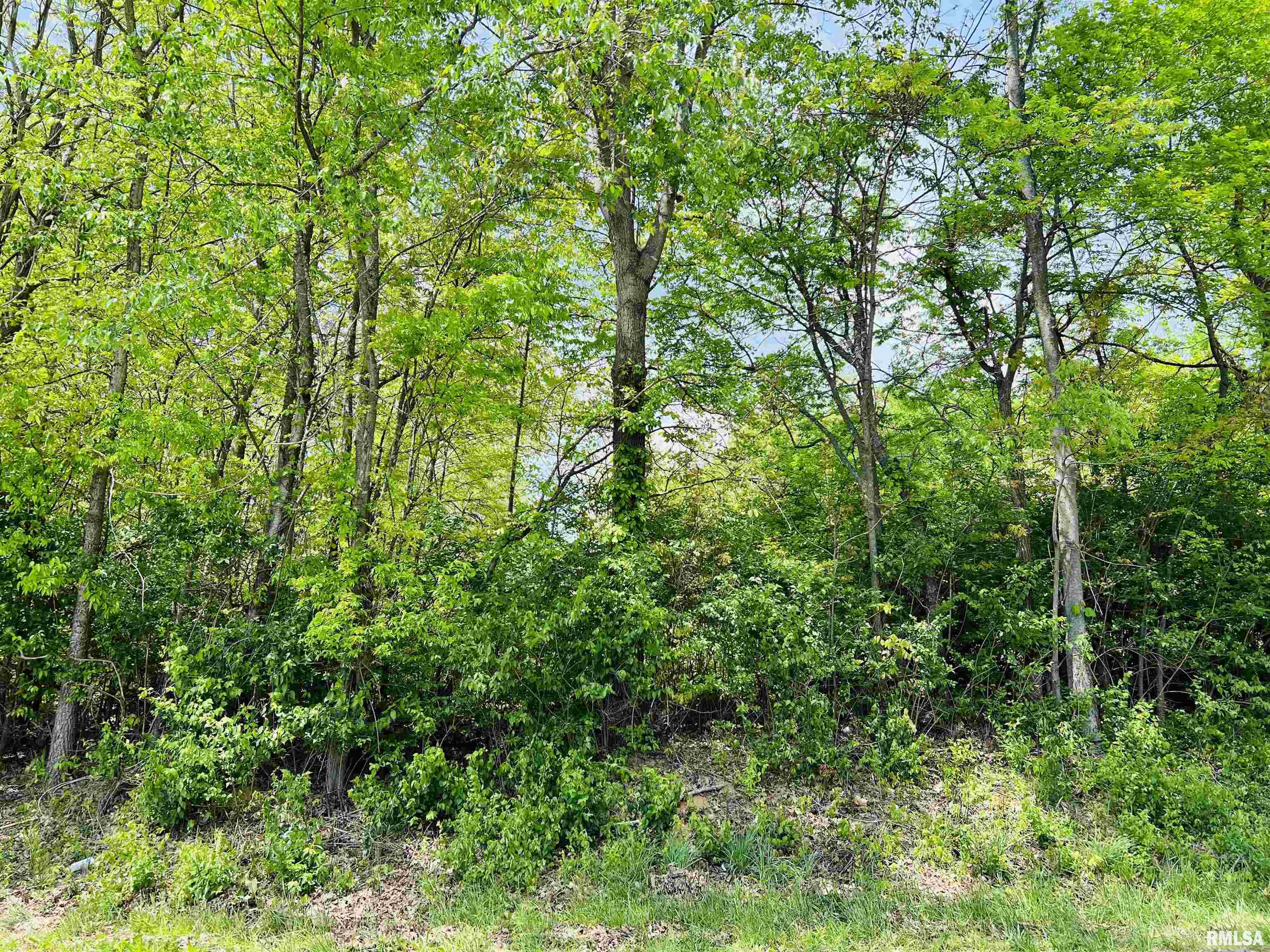 0 Feazel Road Harrisburg, IL 62946 - Photo 6 of 9