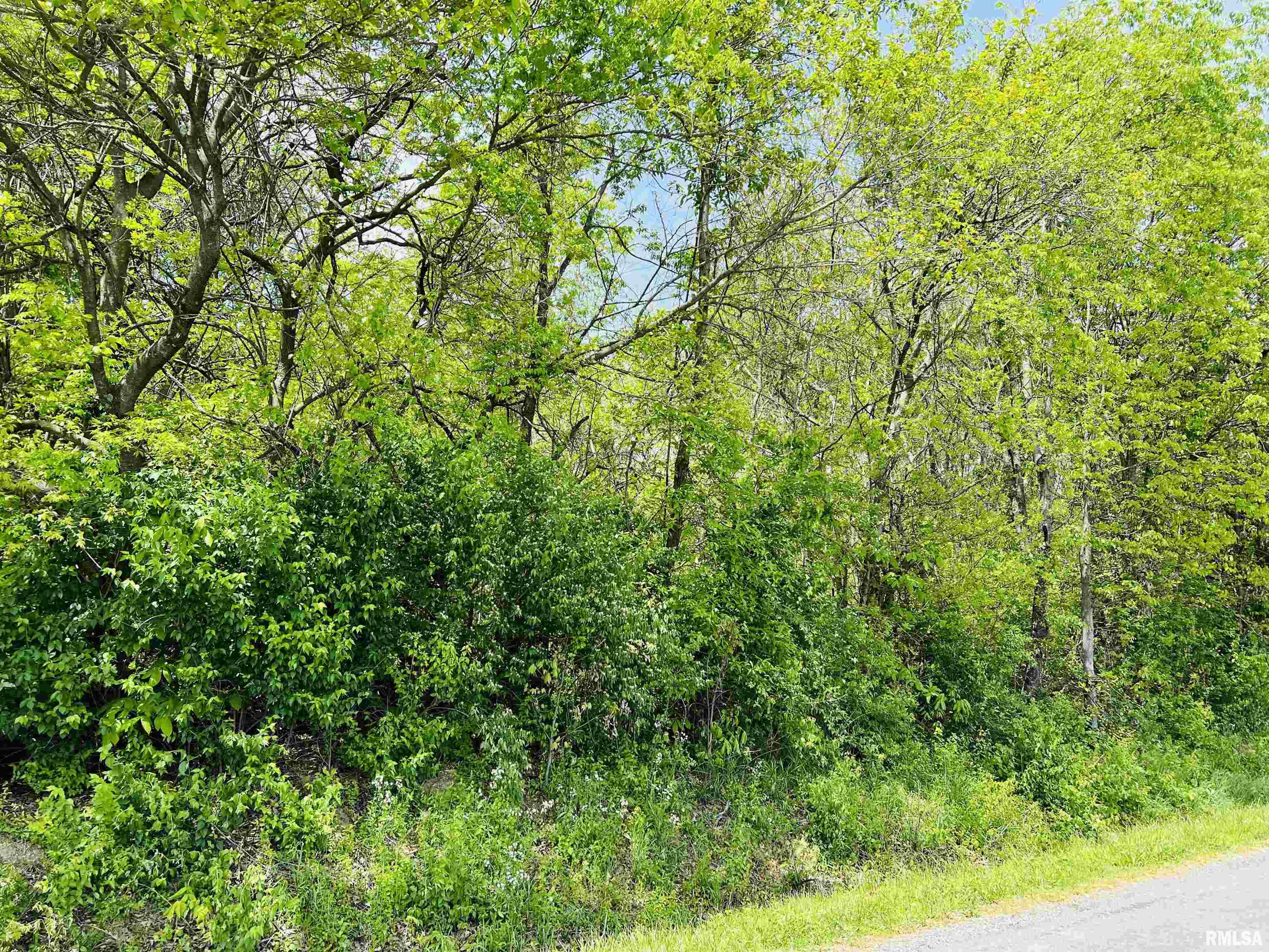 0 Feazel Road Harrisburg, IL 62946 - Photo 7 of 9