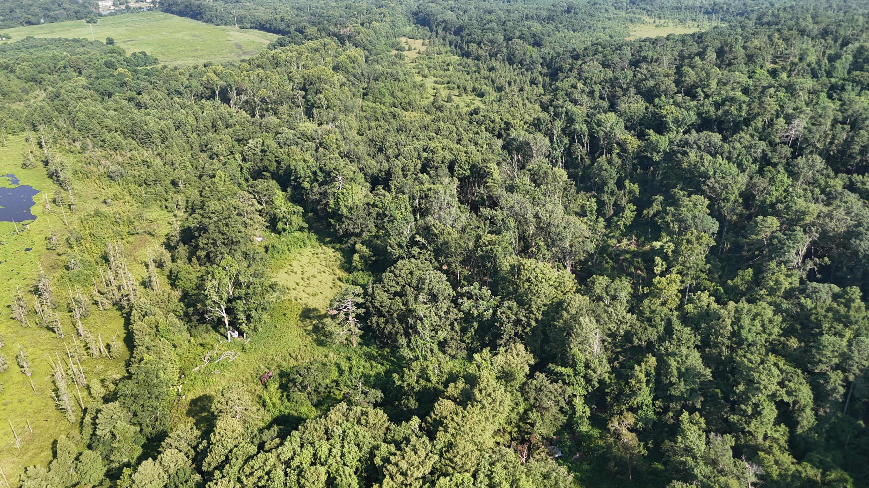 0 Swamp Road Beech Island, SC 29842 - Photo 3 of 21 DJI_20250722102923_0245_D