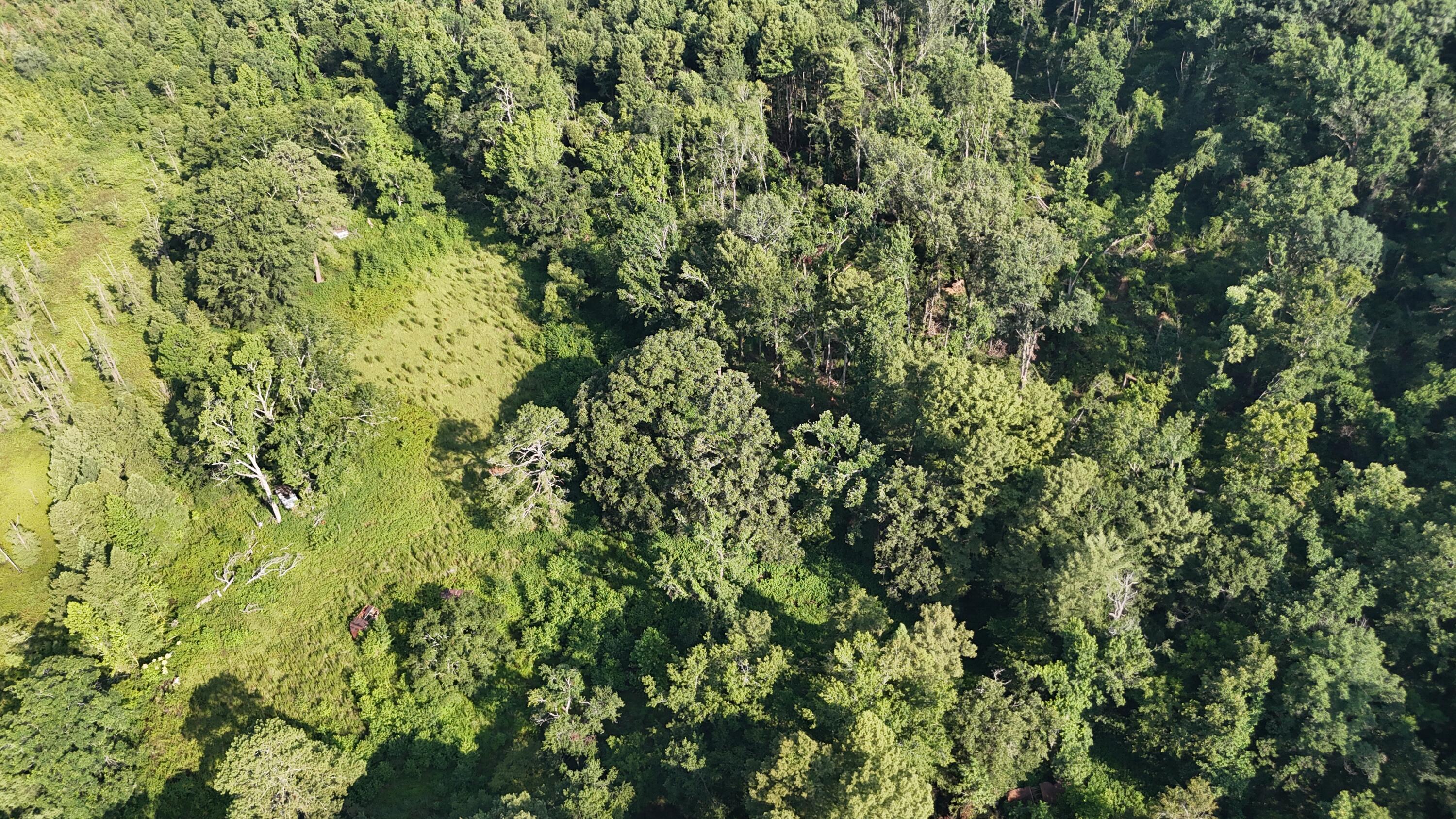 0 Swamp Road Beech Island, SC 29842 - Photo 4 of 21 DJI_20250722102943_0246_D