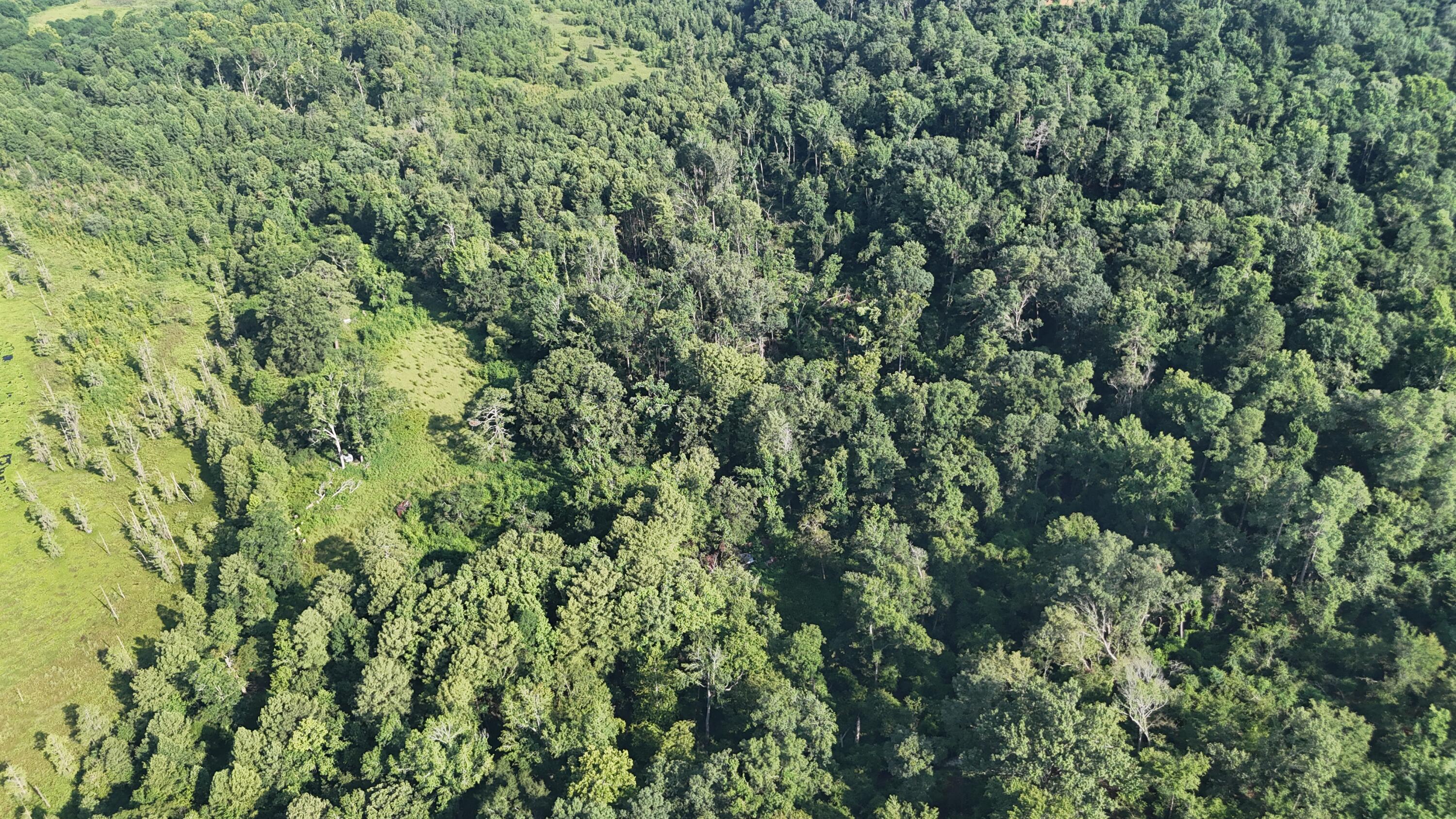 0 Swamp Road Beech Island, SC 29842 - Photo 10 of 21 DJI_20250722103057_0252_D
