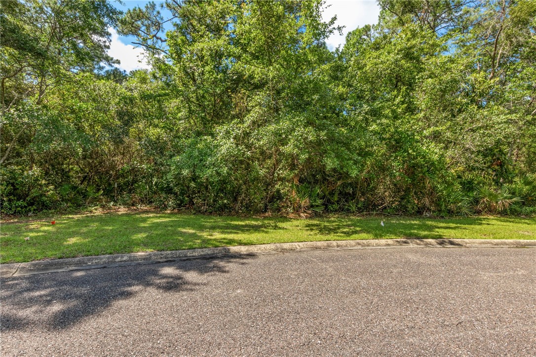0 Bonito Loop St. Marys, GA 31558 - Photo 2 of 51