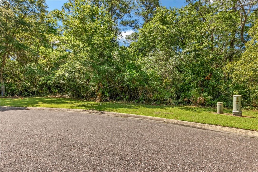 0 Bonito Loop St. Marys, GA 31558 - Photo 3 of 51