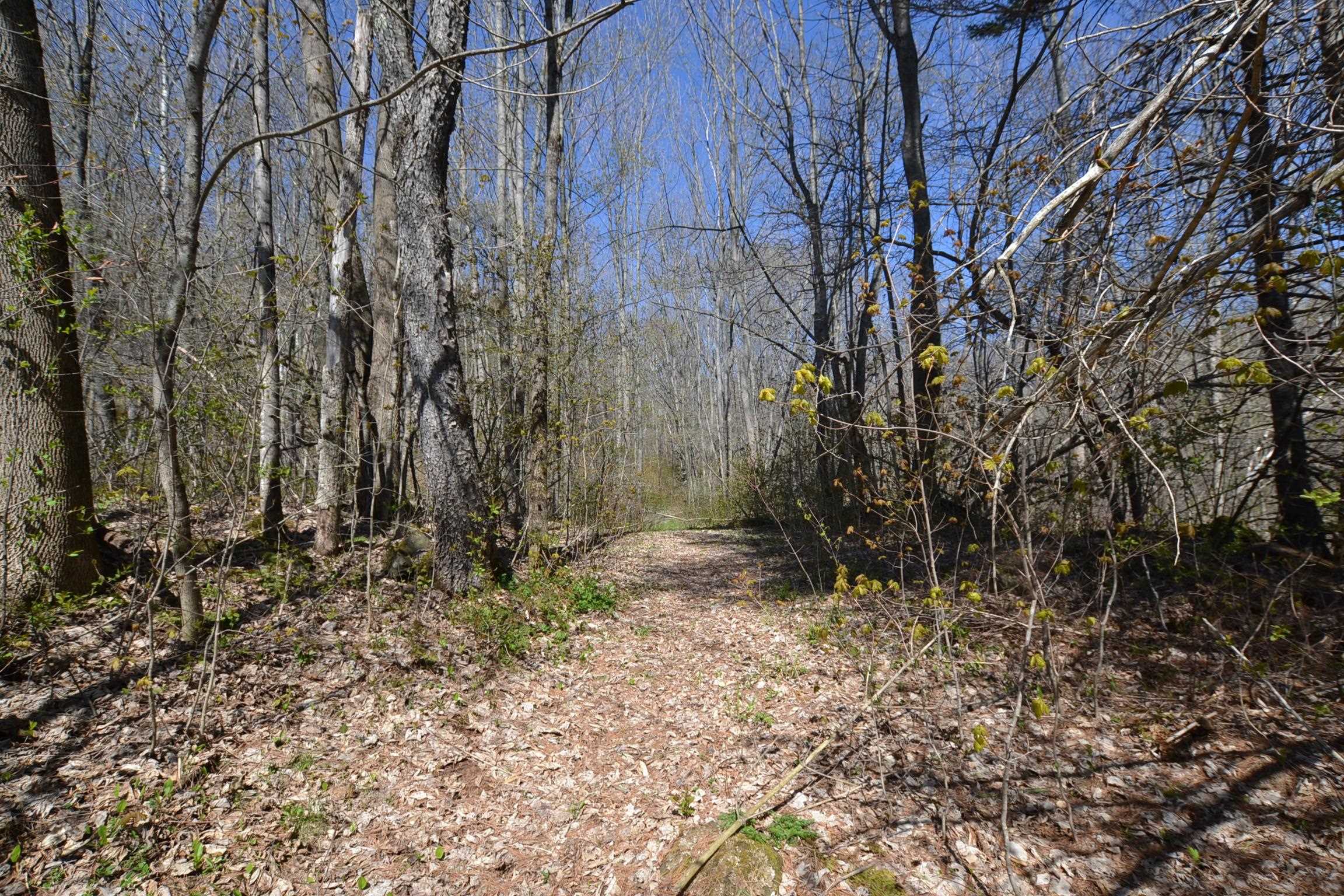 2745 Brookfield Road Berlin, VT 05663 - Photo 35 of 36