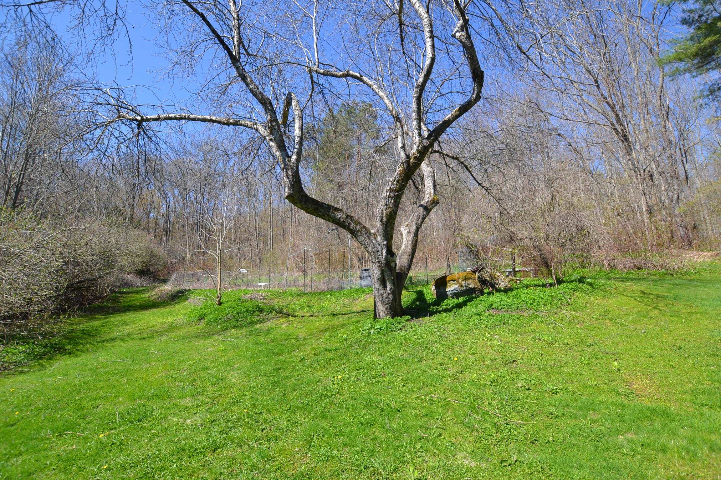 2745 Brookfield Road Berlin, VT 05663 - Photo 36 of 36