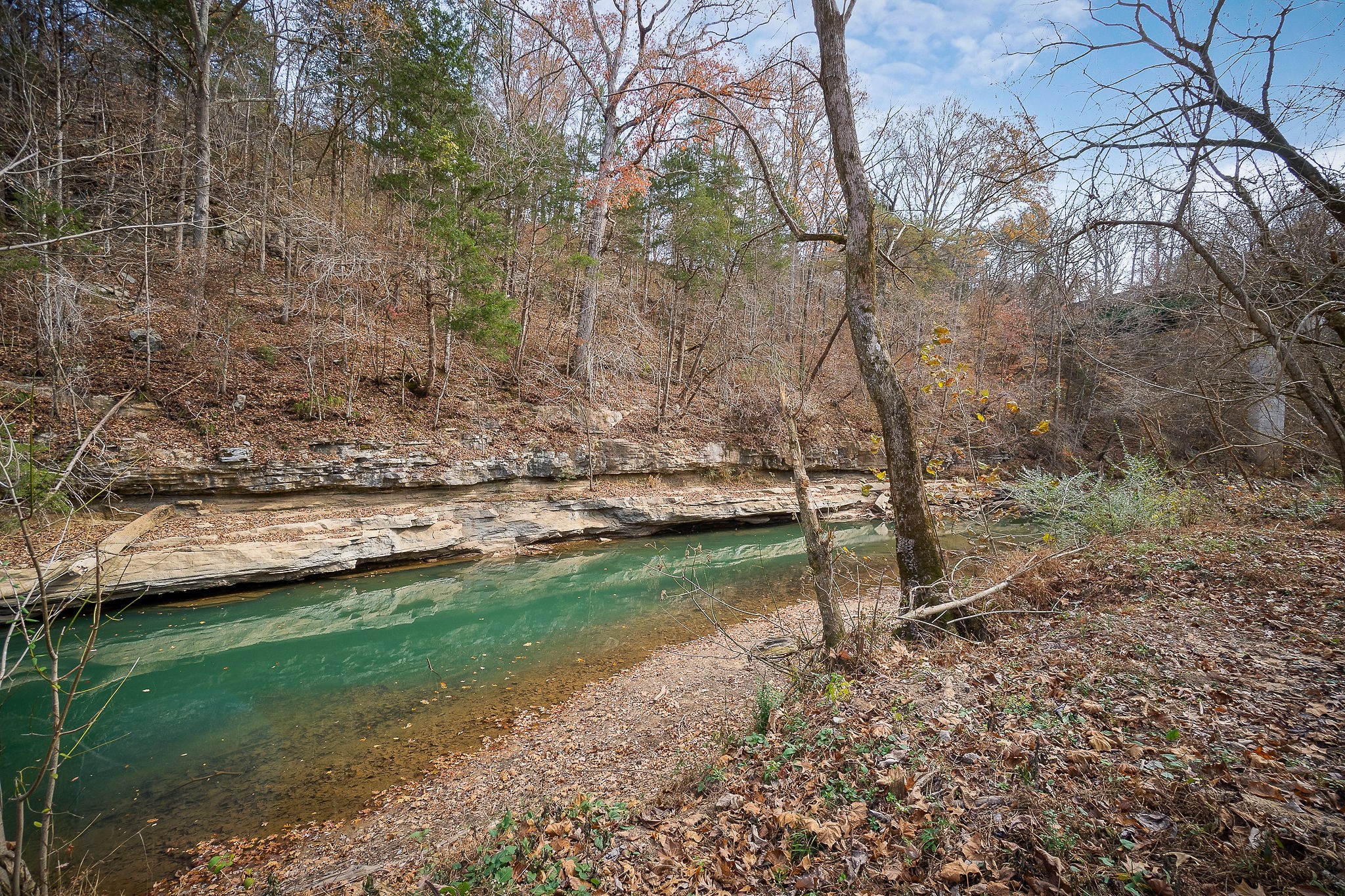 6777 Spencer Road Rock Island, TN 38581 - Photo 47 of 49 a backyard of a house with lots of green space