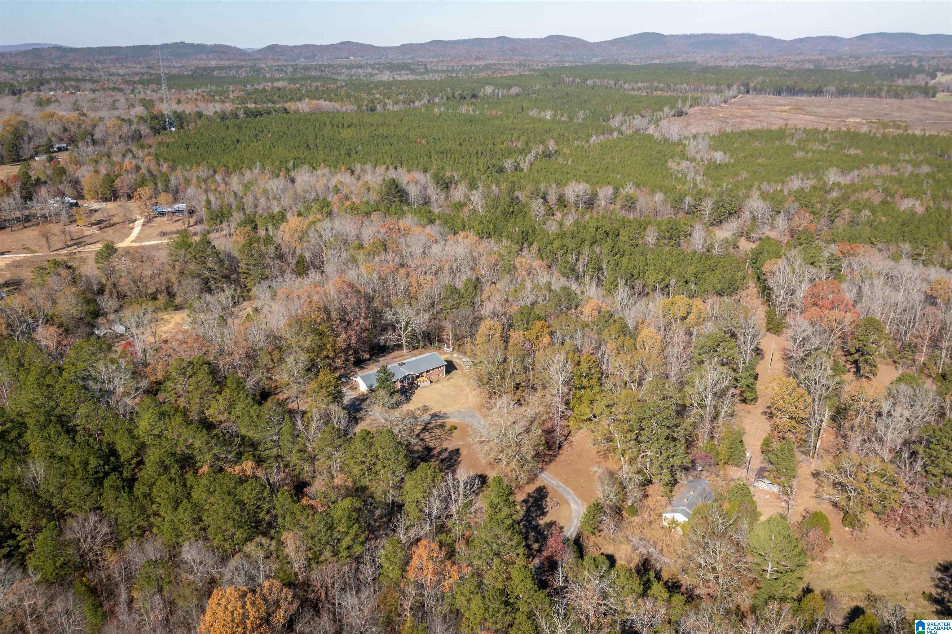 3571 Peeks Hill Road Ohatchee, AL 36271 - Photo 39 of 43
