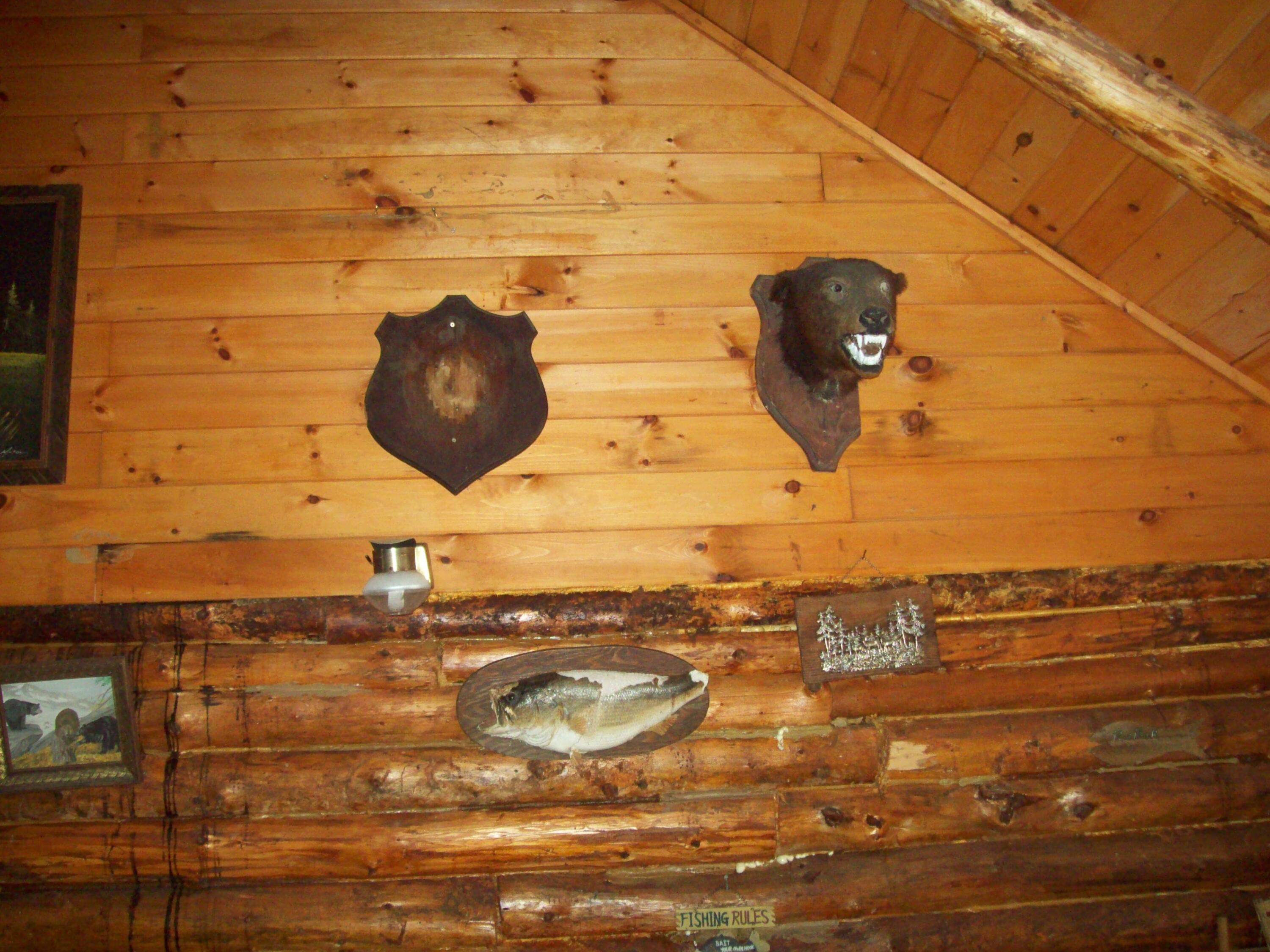 1387 Mattmiscontis Road Lincoln, ME 04457 - Photo 21 of 25 100_1760