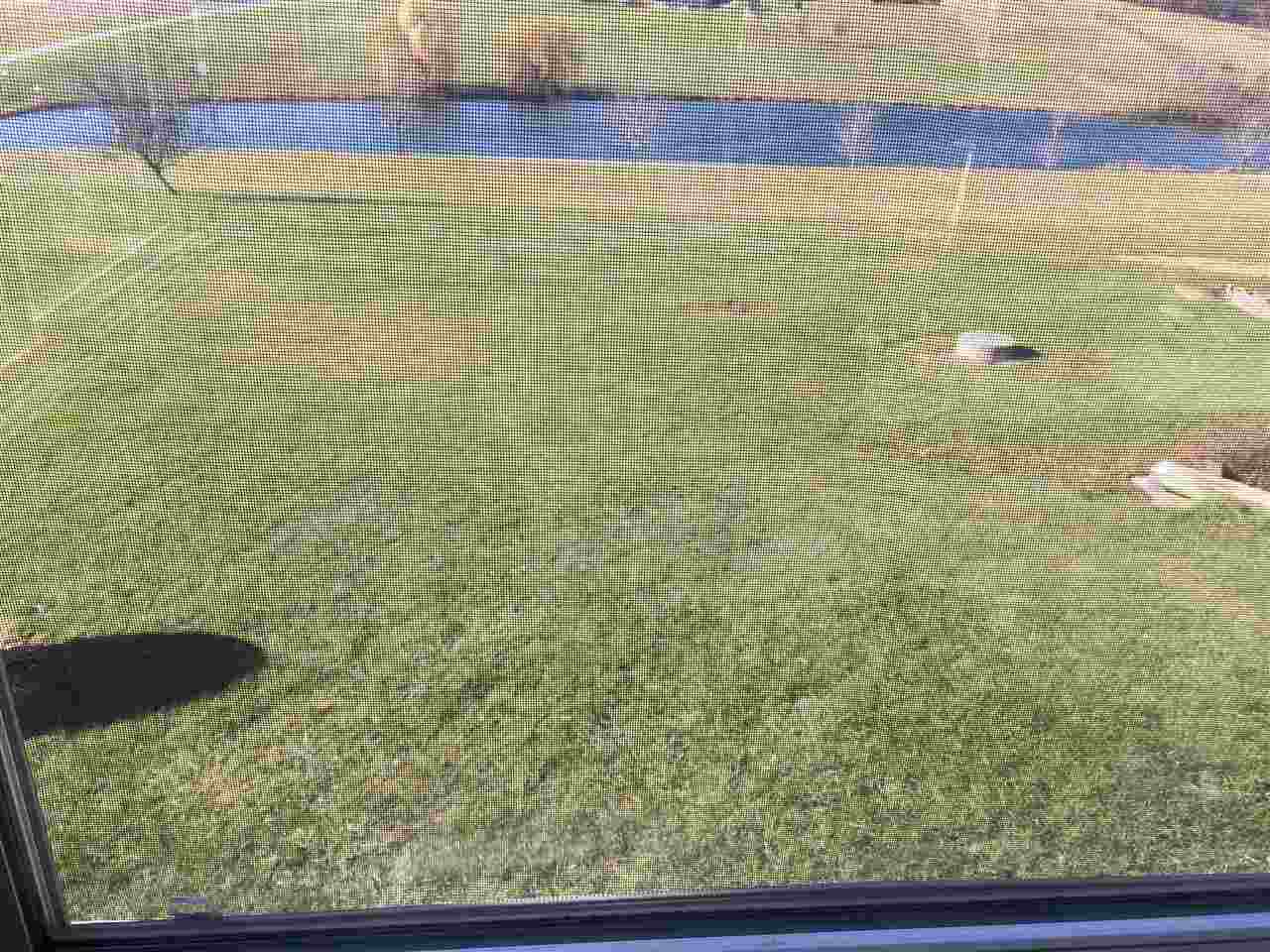 2948 61st St Trail Shellsburg, IA 52332 - Photo 3 of 40 Gallery Image 3