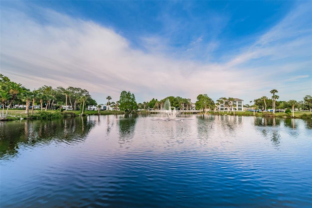 6141 Lafayette Street New Port Richey, FL 34652 - Photo 85 of 98