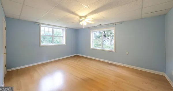 a close up of a plant in a yard