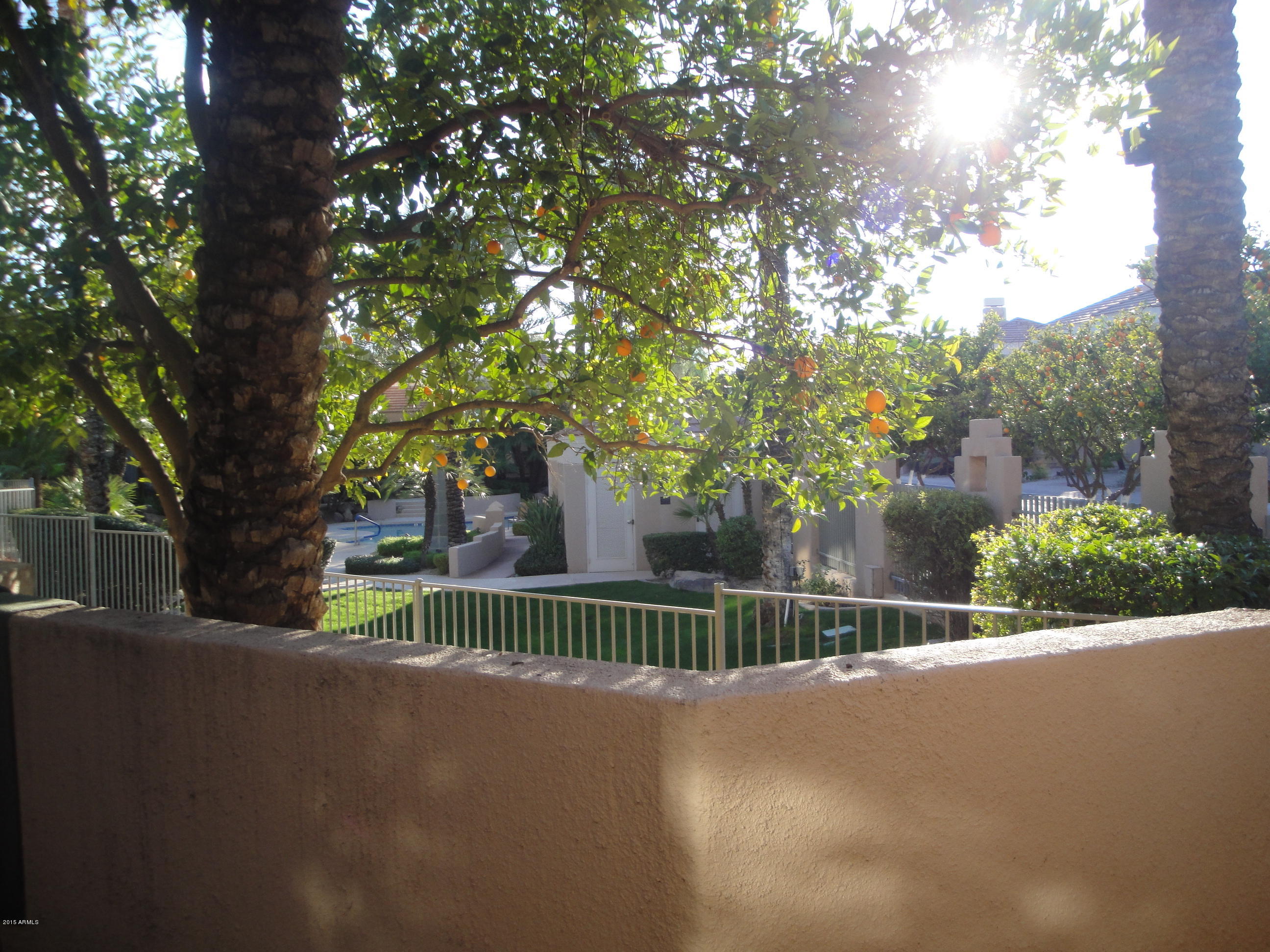 7222 East Gainey Ranch Road, Unit 114 Scottsdale, AZ 85258 - Photo 31 of 53 VIEW FROM MASTER PATIO