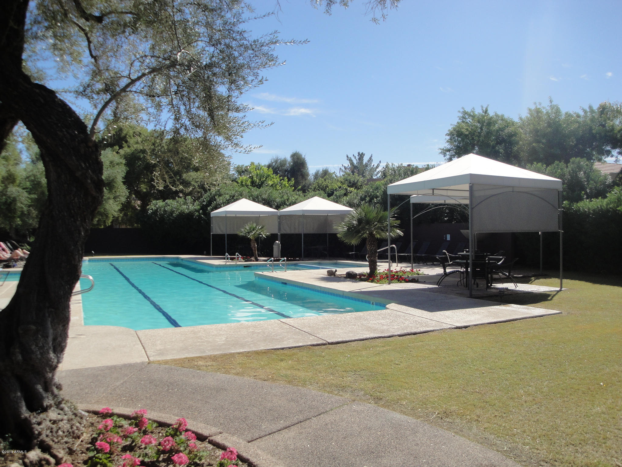 7222 East Gainey Ranch Road, Unit 114 Scottsdale, AZ 85258 - Photo 51 of 53 ESTATE CLUB POOL