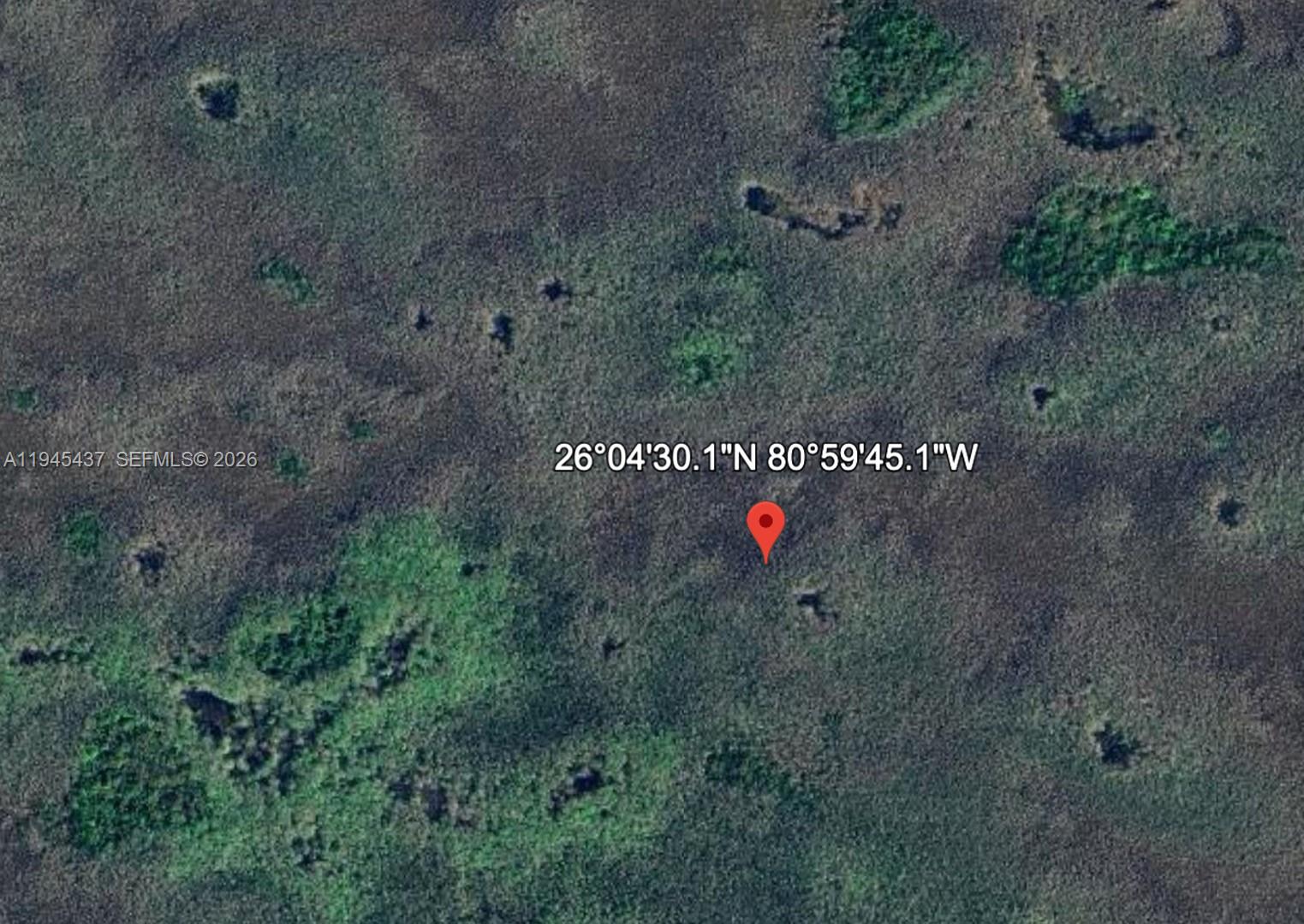 0 Unknown Ochopee, FL 34141 - Photo 2 of 3 a view of a dry yard