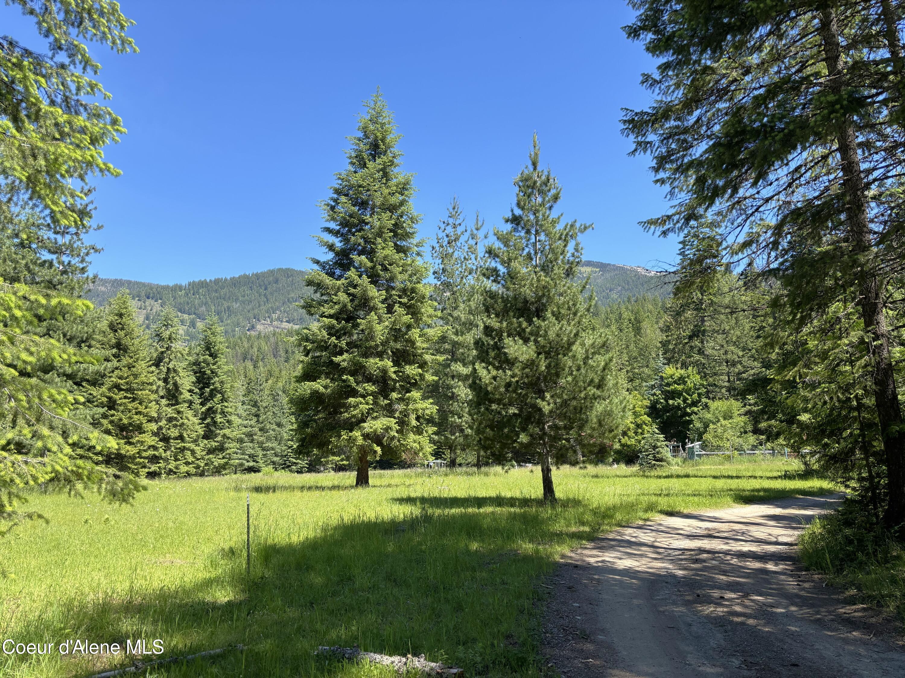 2216 Mosquito Creek Road Clark Fork, ID 83811 - Photo 2 of 47 002 View from driveway
