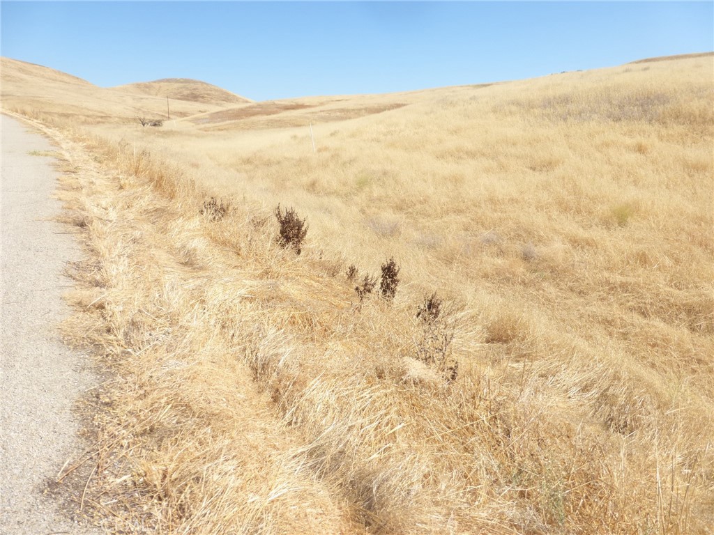 0 Douglas Road San Miguel, CA 93451 - Photo 66 of 75 Gallery Image 66