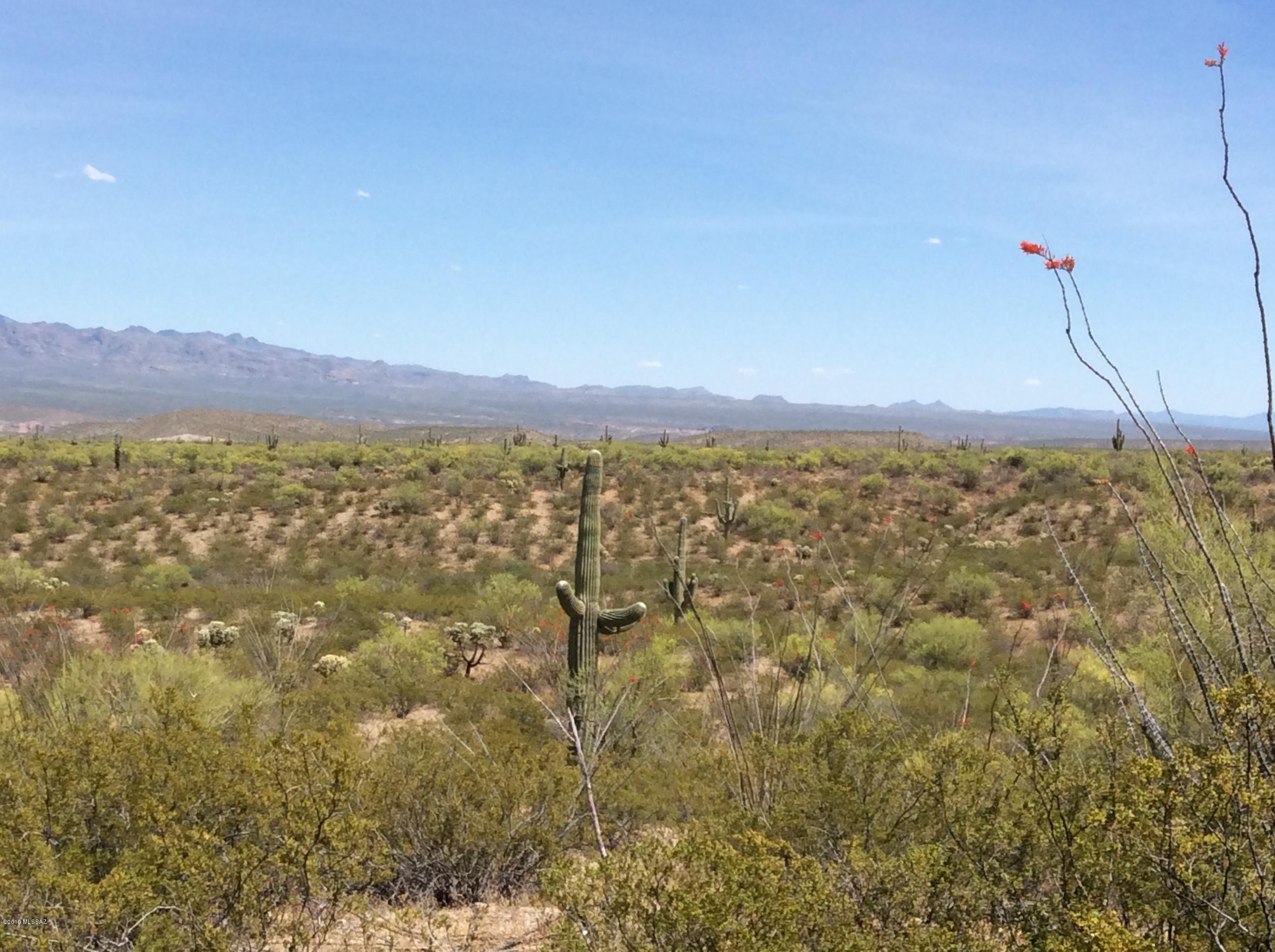 Peppersauce Mine Road San Manuel, AZ 85631 - Photo 20 of 33