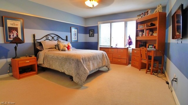 6284 North Applecross Road Highland Heights, OH 44143 - Photo 19 of 25