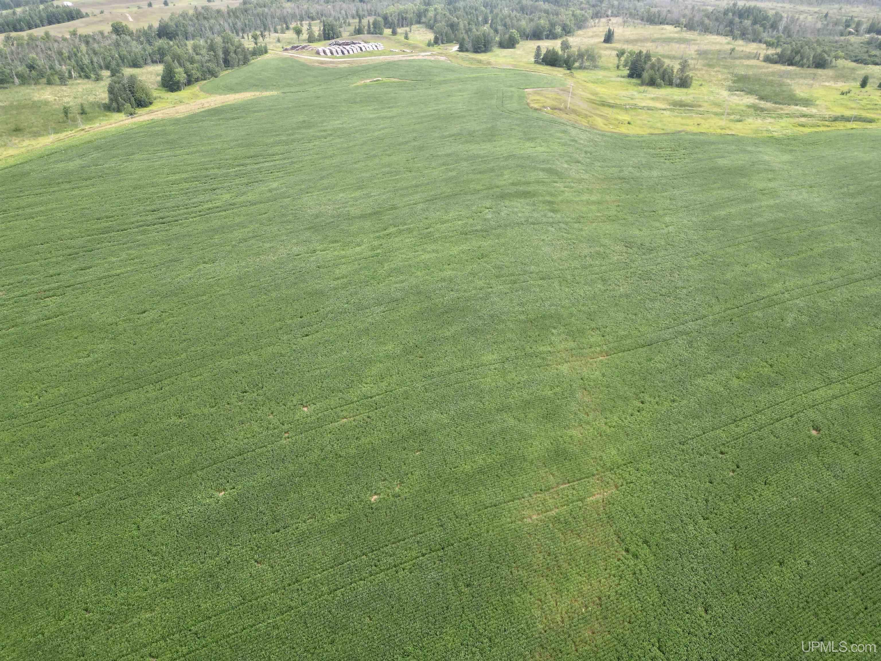 Tbd Tbd Off Guard St Road Carney, MI 49812 - Photo 4 of 13