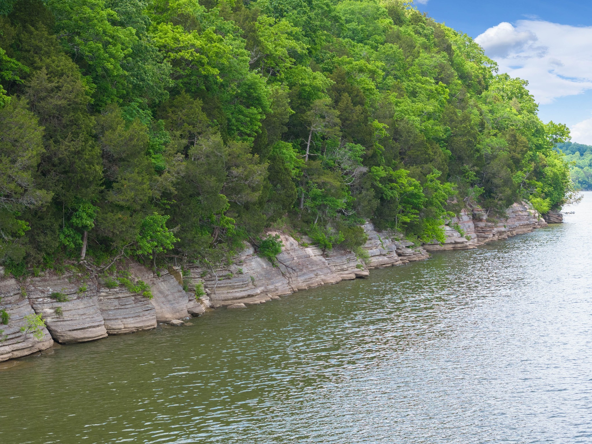 1027 Hardin Bottom River Road Clifton, TN 38425 - Photo 8 of 14 Gallery Image 8