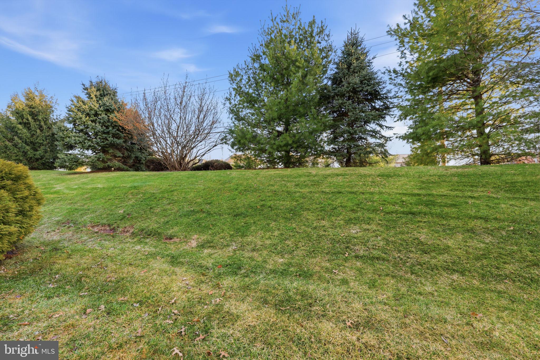 426 Fairview Way New Hope, PA 18938 - Photo 37 of 40 a view of a big yard with plants and large trees