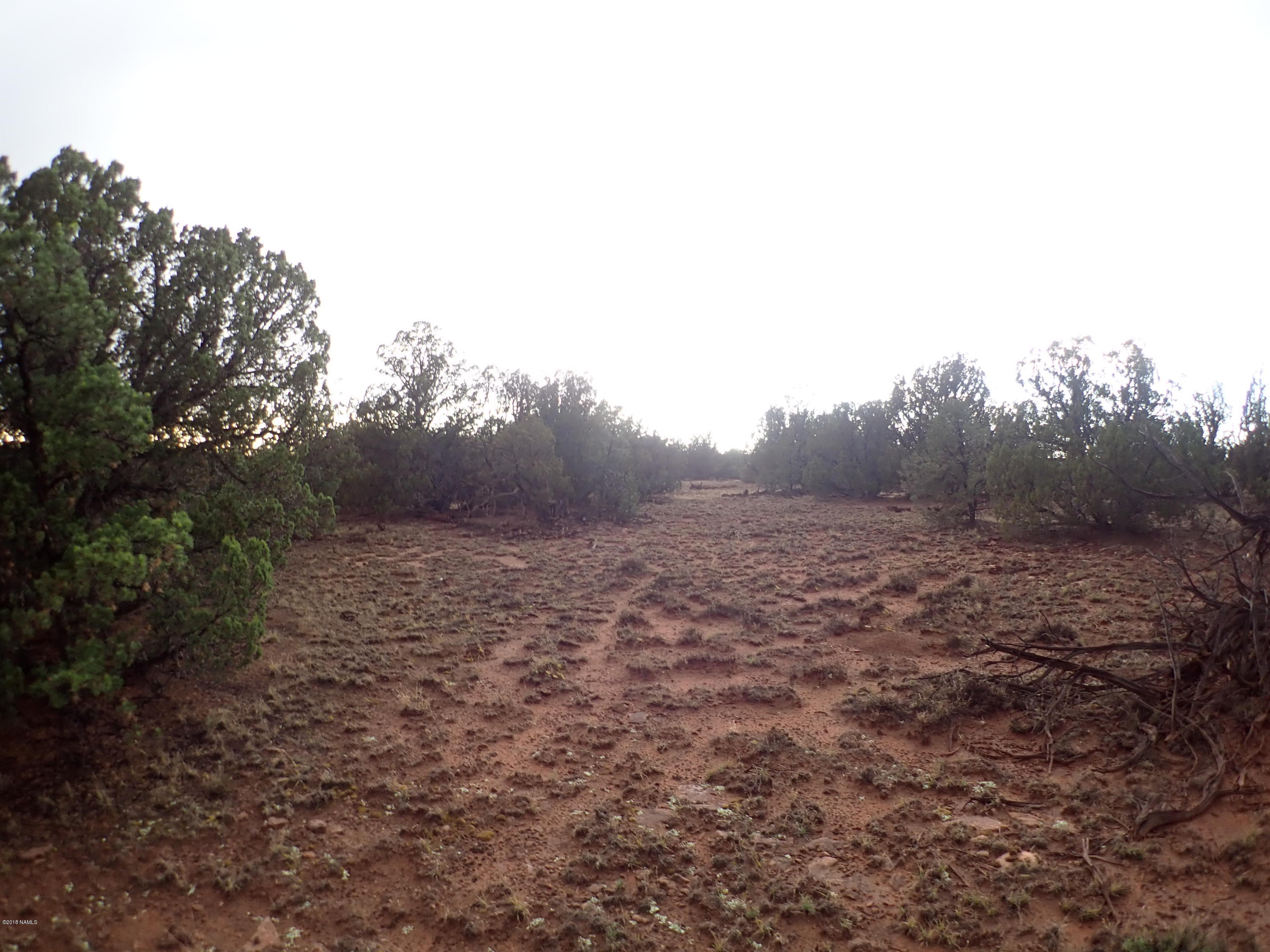 2180 South Spruce Road Williams, AZ 86046 - Photo 3 of 5 PA300251