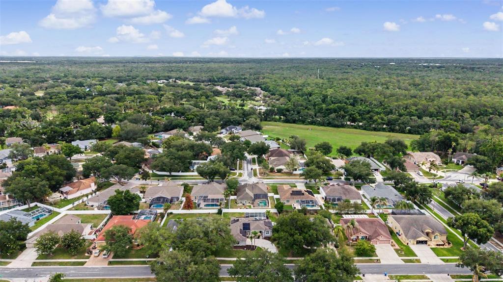4021 Lithia Ridge Boulevard Valrico, FL 33596 - Photo 42 of 48