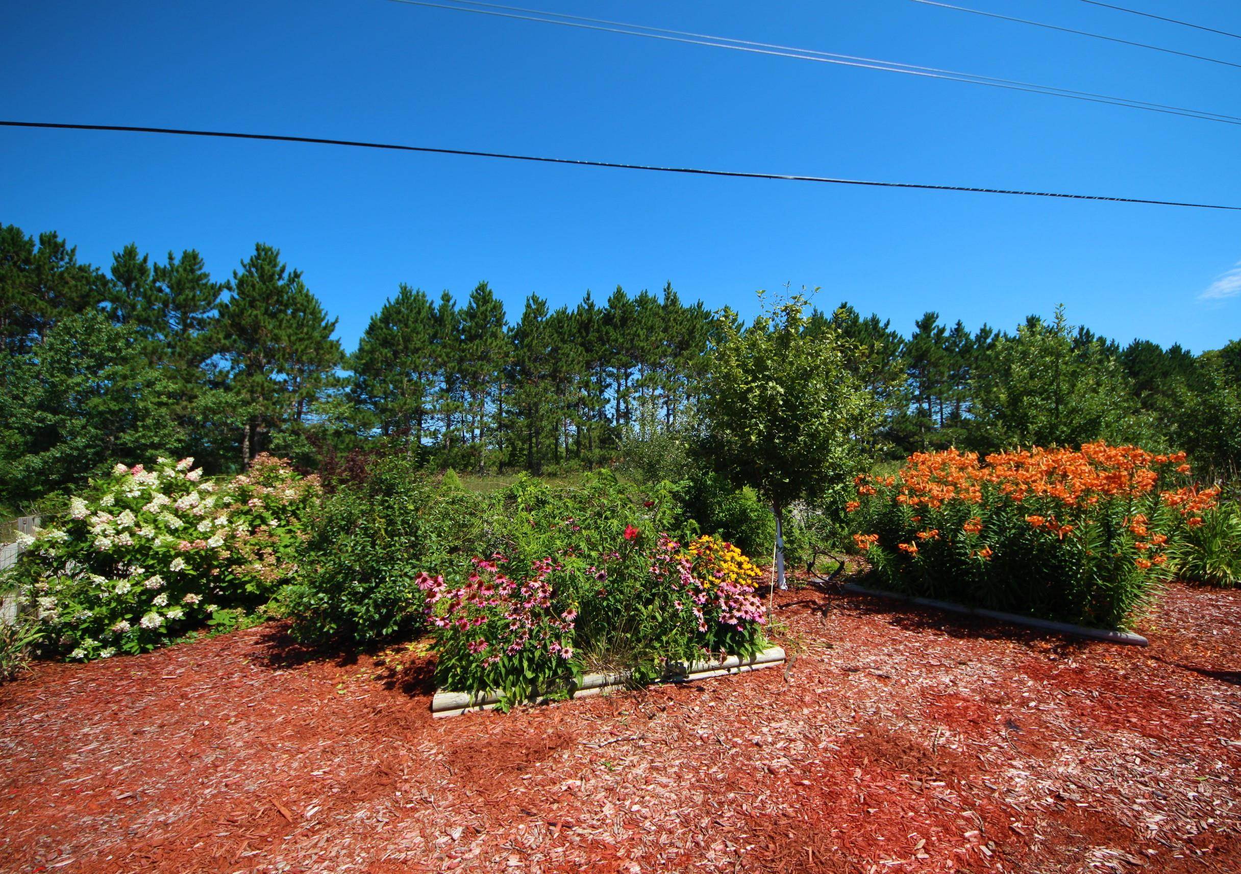 17075 Fewins Road Interlochen, MI 49643 - Photo 14 of 19 1903788-13.JPG
