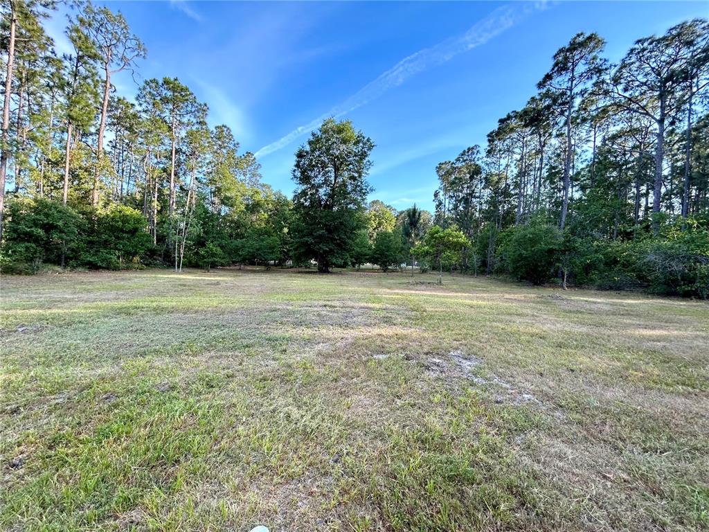 Limpkin Lane Frostproof, FL 33843 - Photo 3 of 3 Gallery Image 3