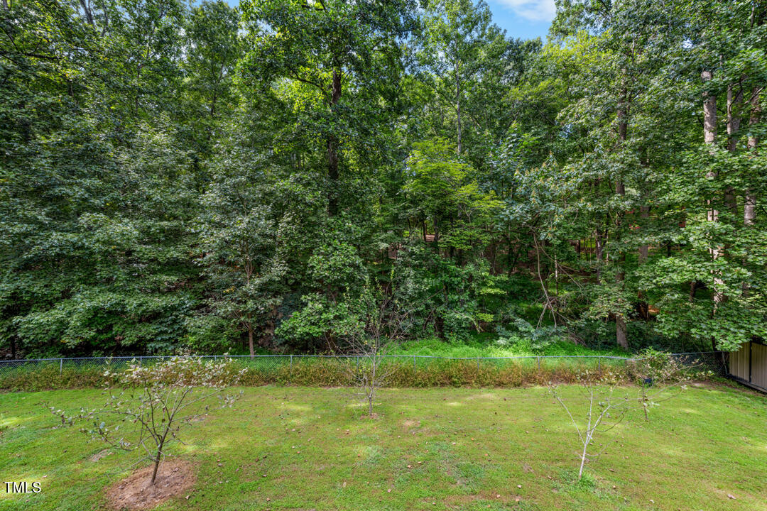 122 Stedwick Place Durham, NC 27712 - Photo 30 of 35 a view of yard with green space