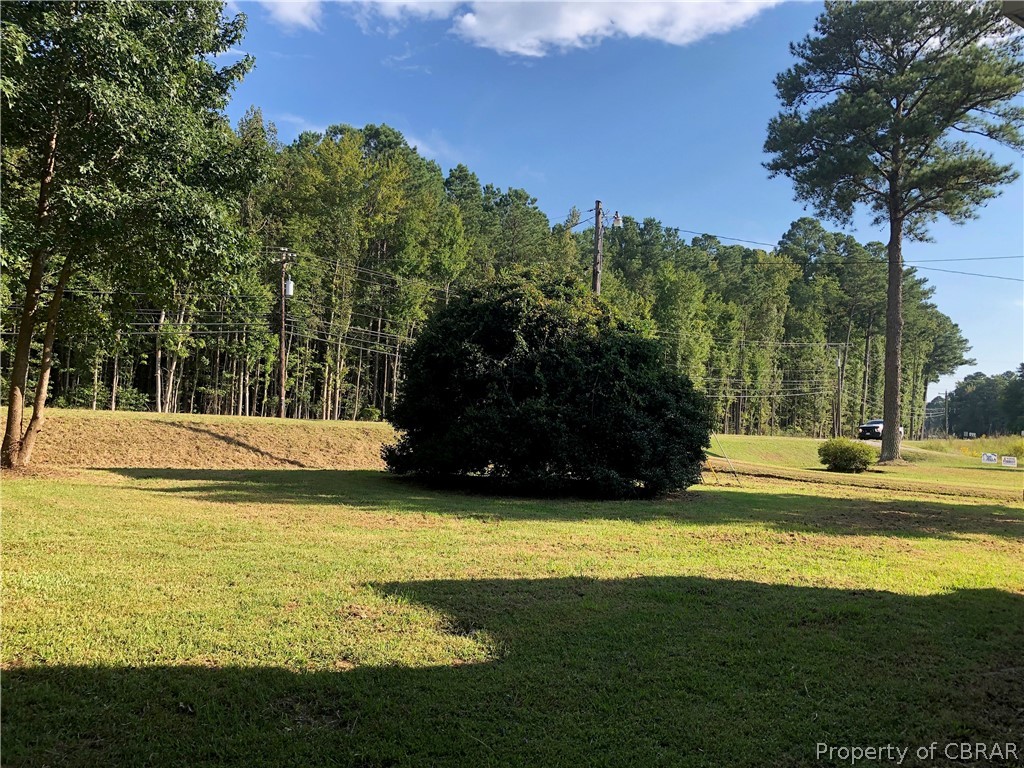 8890 Buckley Hall Road Hudgins, VA 23076 - Photo 5 of 24