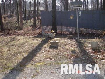 1624 Moonglow Road Centralia, IL 62801 - Photo 4 of 11