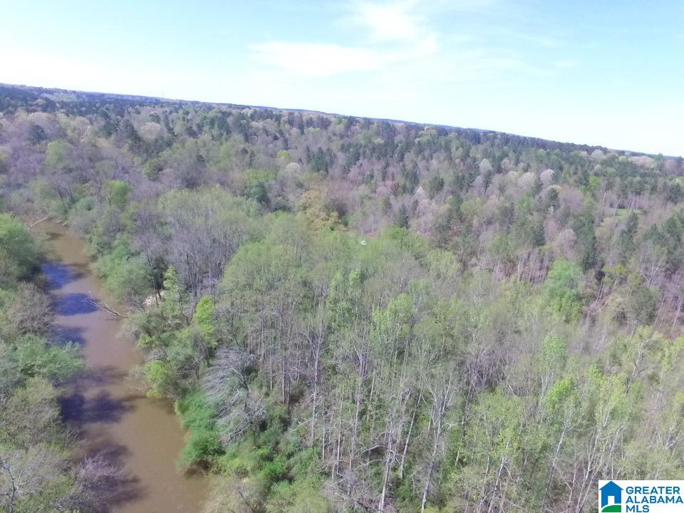 0 County Road 60, Unit 1 Heflin, AL 36264 - Photo 11 of 14