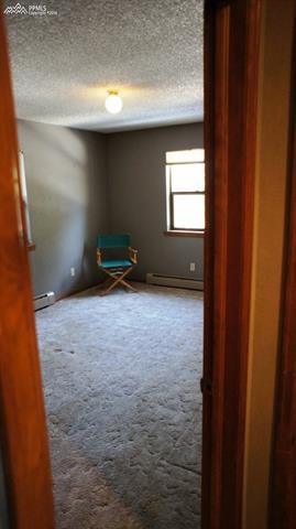 9925 Walker Road Colorado Springs, CO 80908 - Photo 20 of 20 MAIN LEVEL BEDROOM