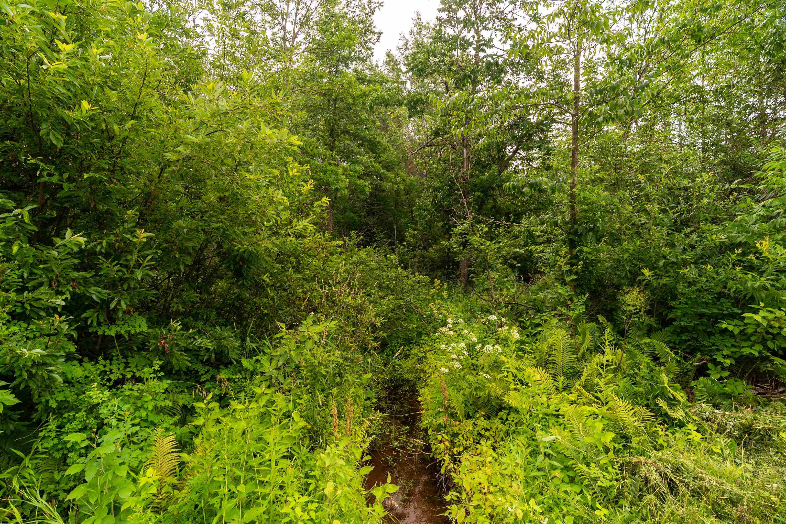 Xx Torma Road Esko, MN 55733 - Photo 3 of 15