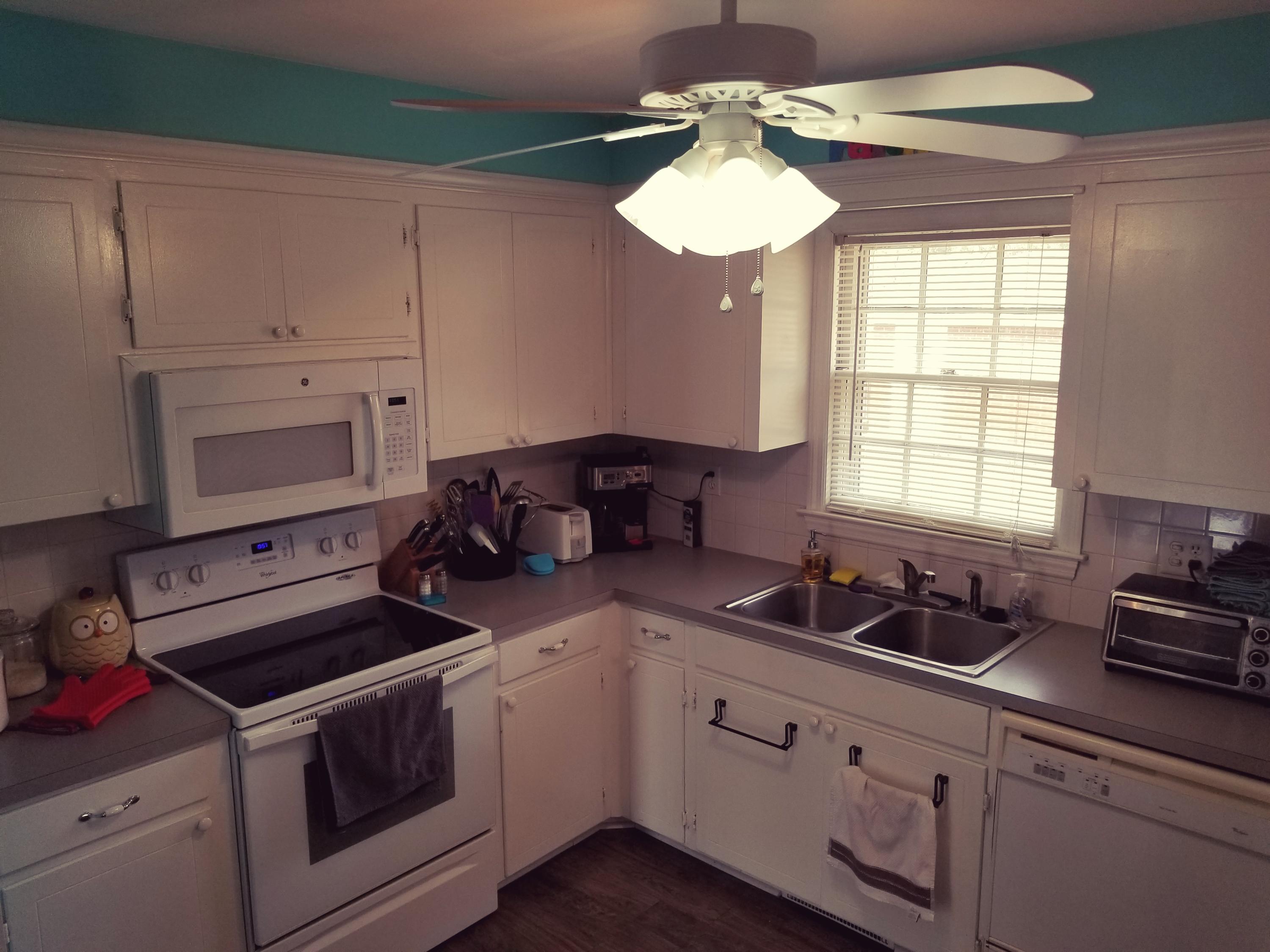 210 Pineland Road Walterboro, SC 29488 - Photo 11 of 43 20180203_105931