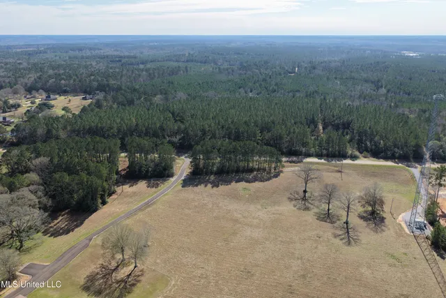 $140,000 | 0 Northeast Ne Highway, Summit, MS 39666