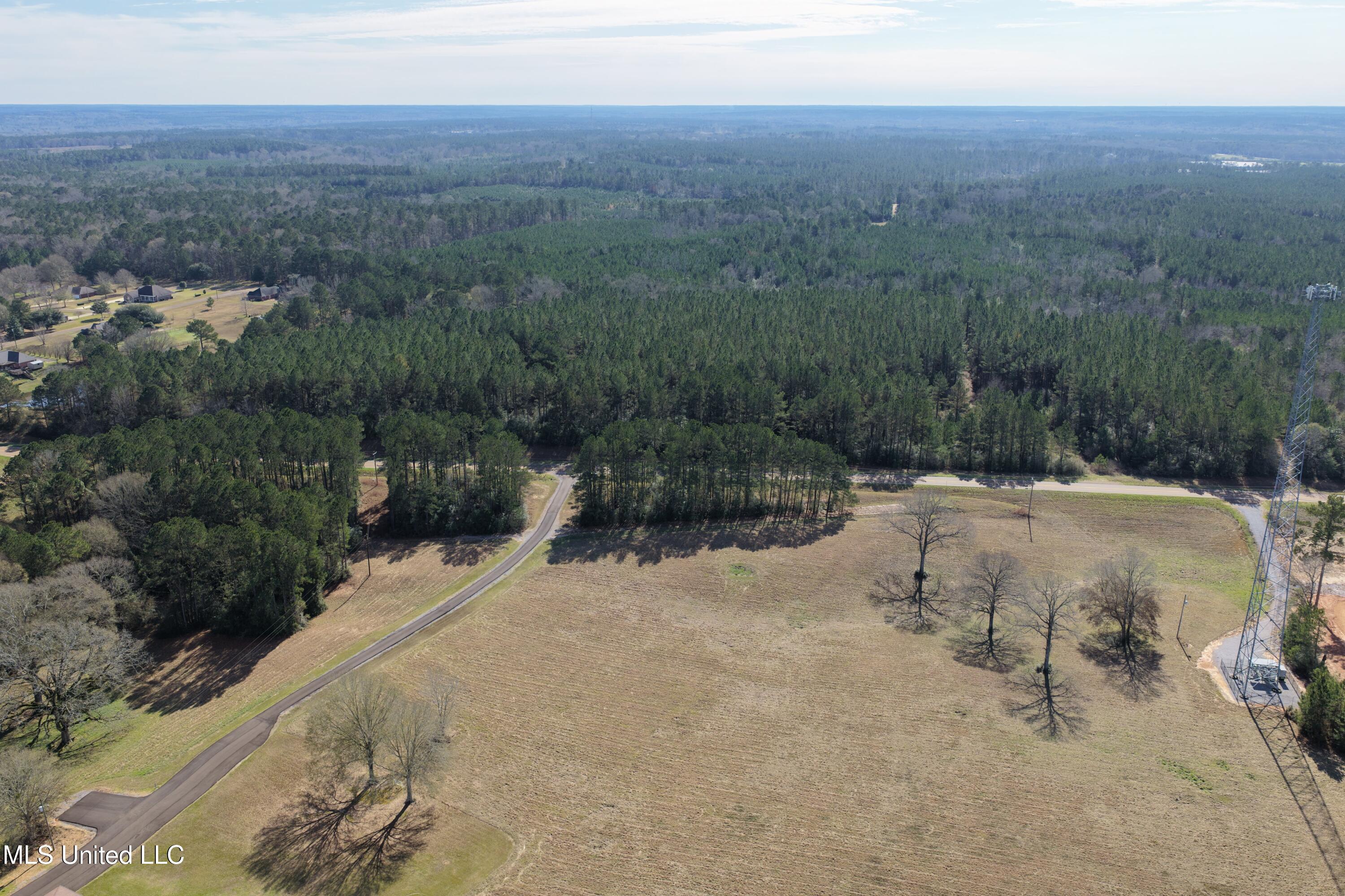 0 Northeast Ne Highway Summit, MS 39666 - Photo 1 of 29 Summit (1)