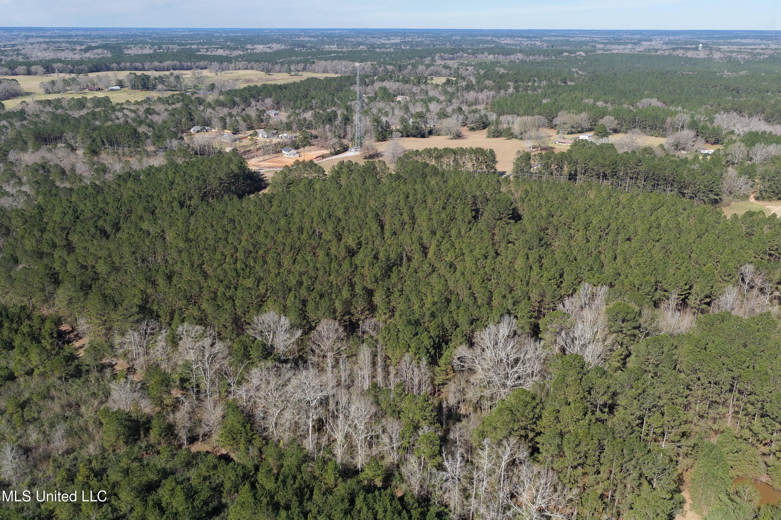 0 Northeast Ne Highway Summit, MS 39666 - Photo 11 of 29 Summit (11)
