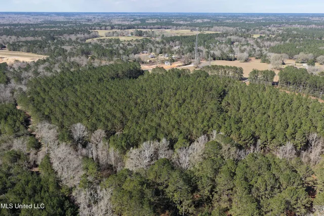 $140,000 | 0 Northeast Ne Highway, Summit, MS 39666