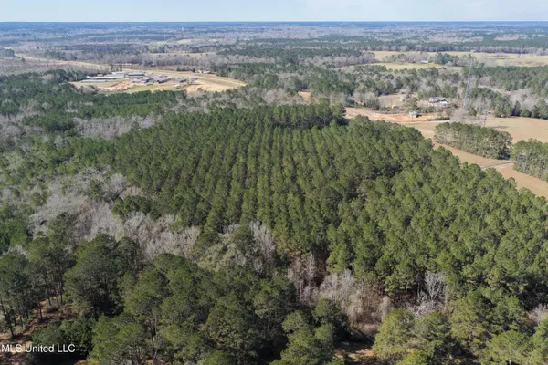 $130,000 | 0 Northeast Ne Highway, Summit, MS 39666