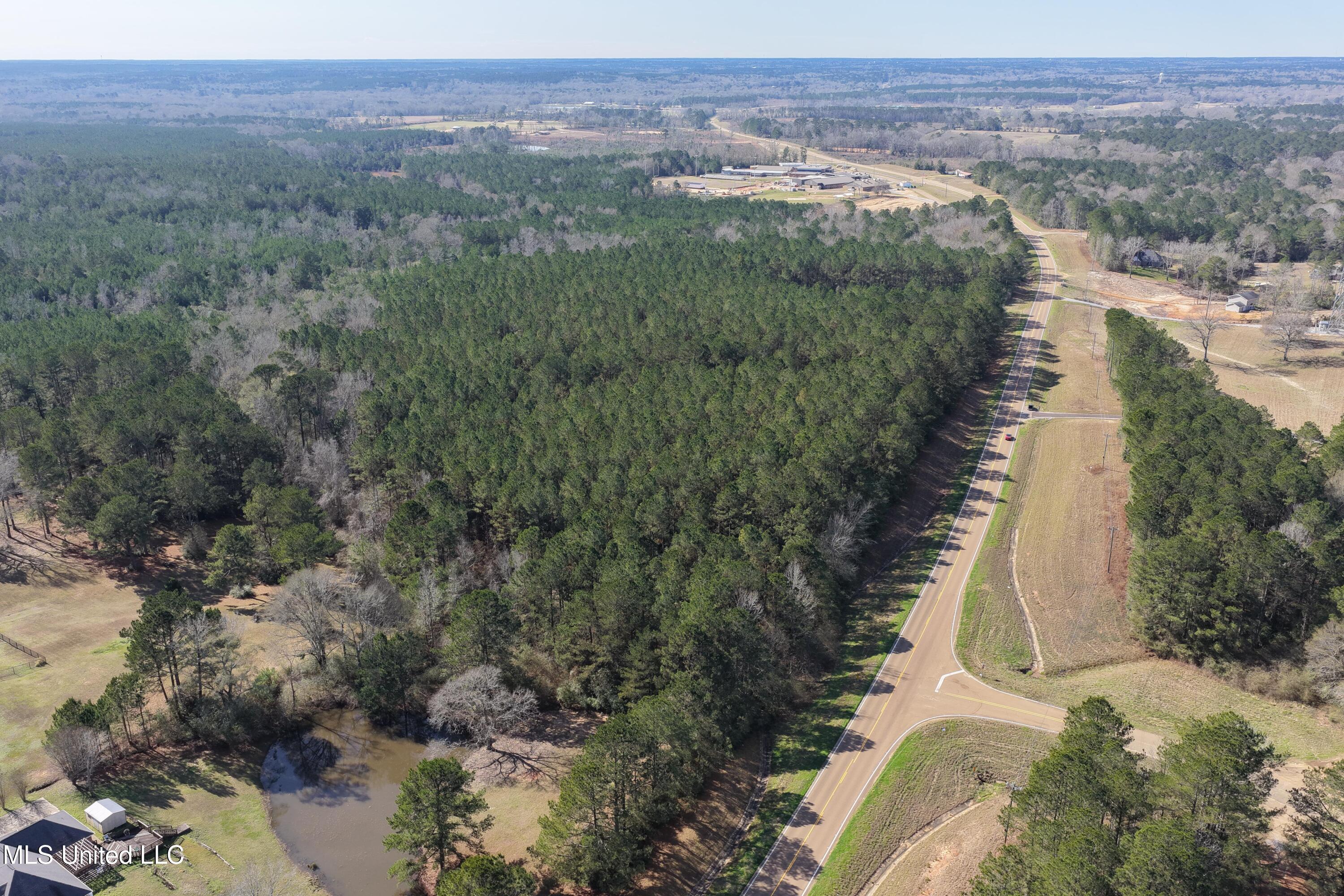 0 Northeast Ne Highway Summit, MS 39666 - Photo 15 of 29 Summit (15)