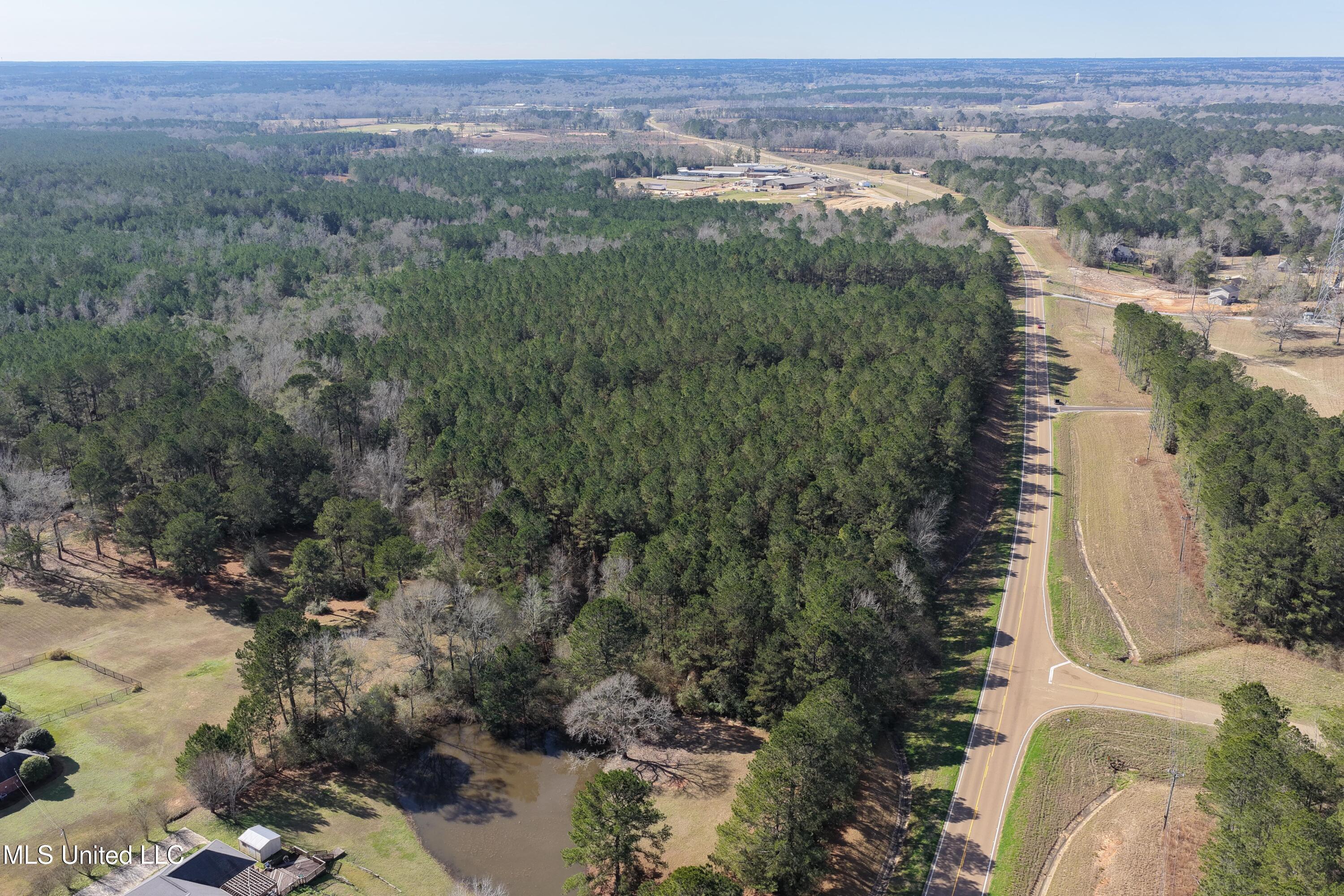 0 Northeast Ne Highway Summit, MS 39666 - Photo 16 of 29 Summit (16)