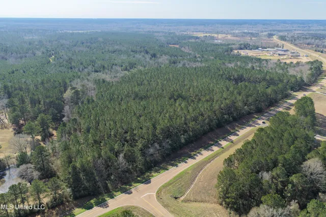 $140,000 | 0 Northeast Ne Highway, Summit, MS 39666