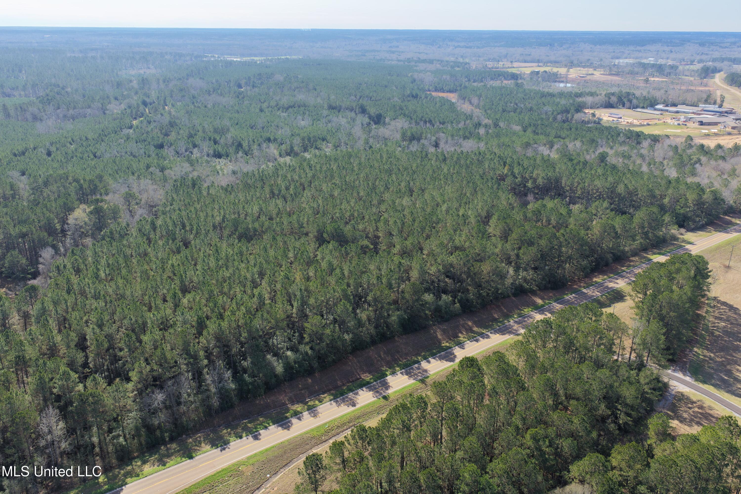 0 Northeast Ne Highway Summit, MS 39666 - Photo 18 of 29 Summit (18)