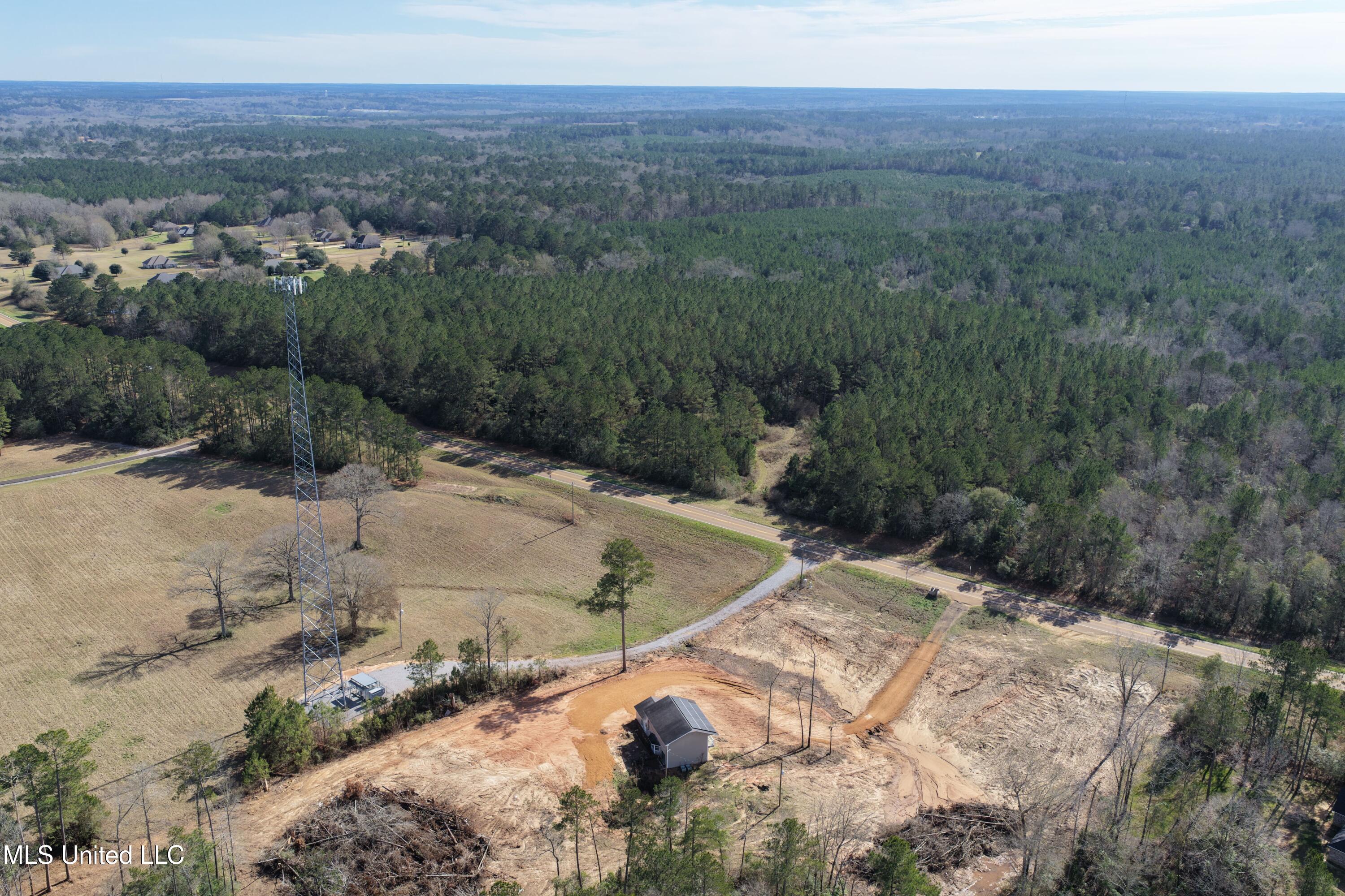 0 Northeast Ne Highway Summit, MS 39666 - Photo 2 of 29 Summit (2)