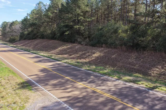 $140,000 | 0 Northeast Ne Highway, Summit, MS 39666